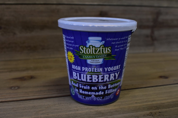 Stoltzfus Yogurt - Blueberry single